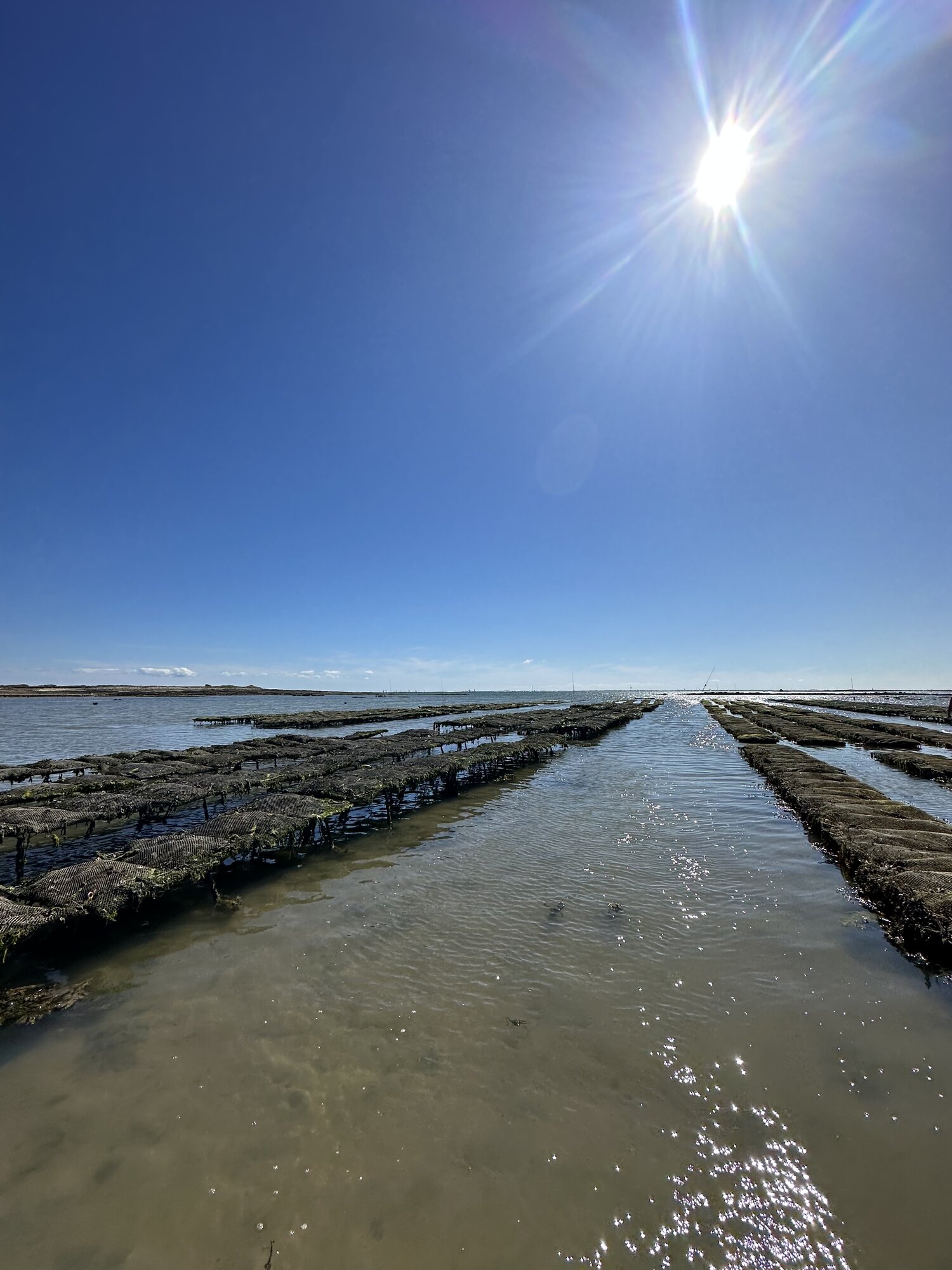 Distributeur automatique d'huîtres L'Effet Mer à Carnac au coucher de soleil